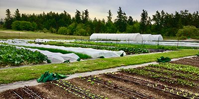 San Juan Island Farm Tours