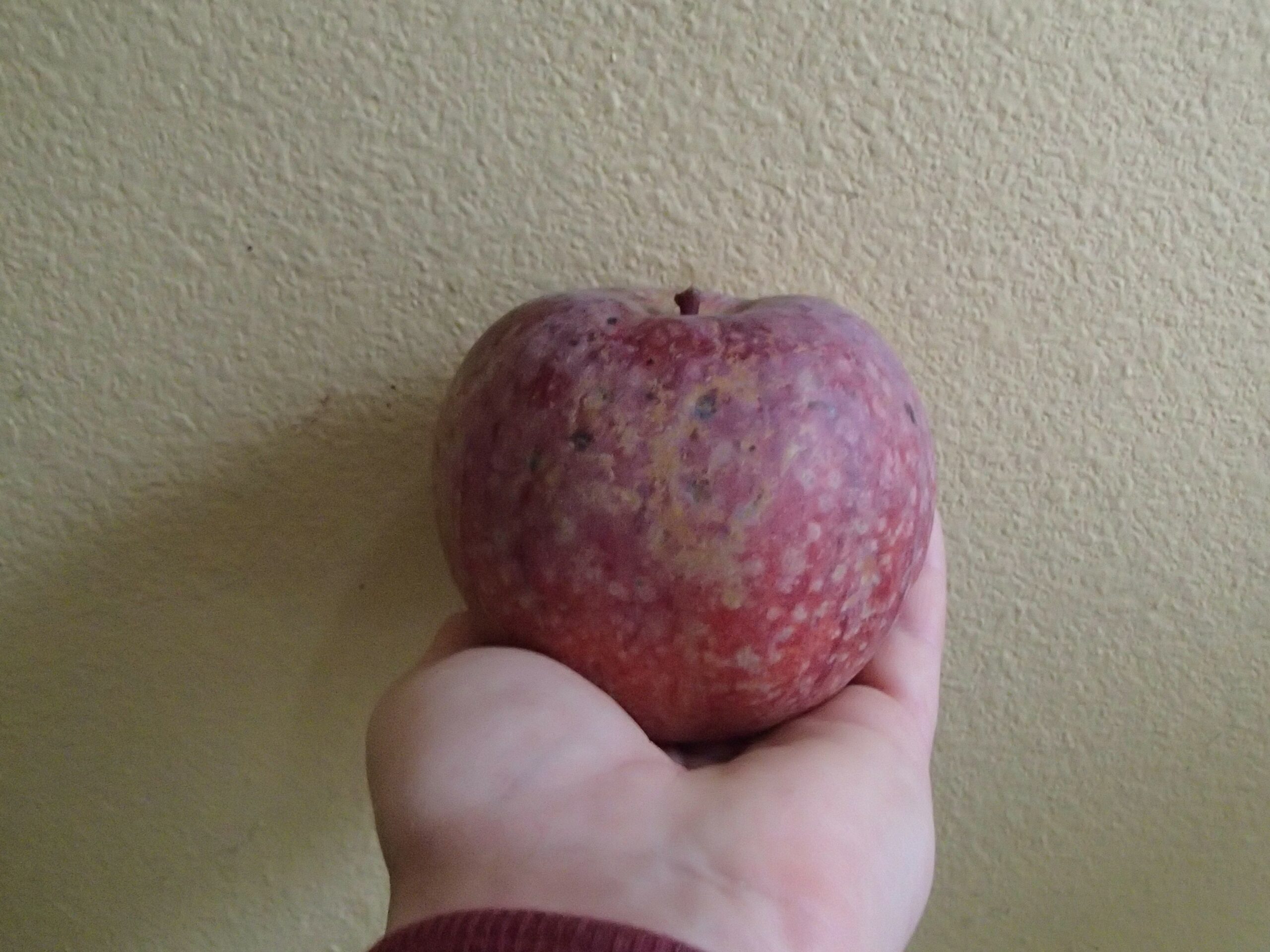 Island Apple