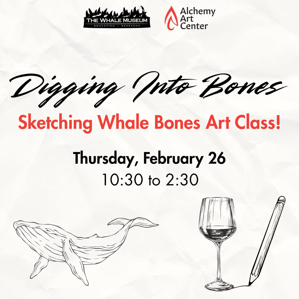 Sketching Whale Bones Art Class
